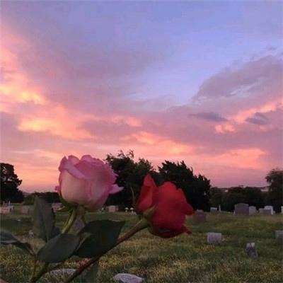 LOL外围官网截图