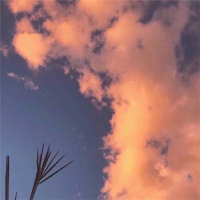 998娱乐彩票安卓APP手机app下载截图